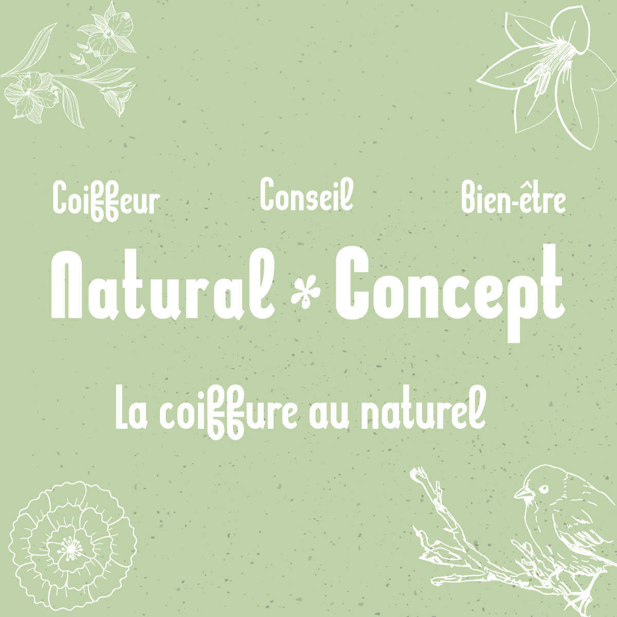 Natural Concept, coiffeur naturel depuis 2003 à Strasbourg